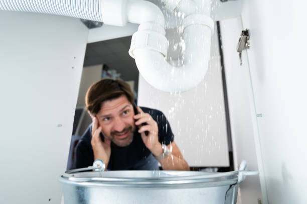 Best Sprinkler Systems  in Carrabelle, FL