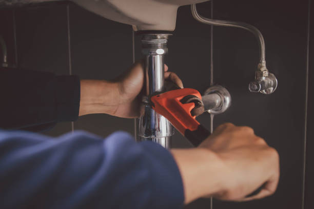 Best Septic Systems  in Carrabelle, FL
